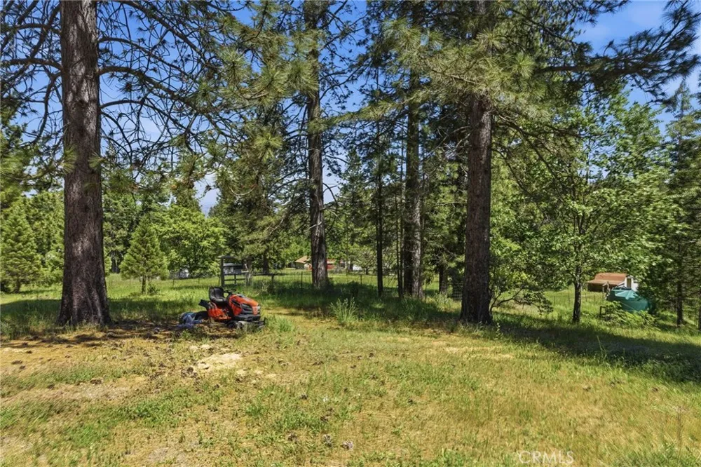 7019 Scott Mariposa, CA 95338