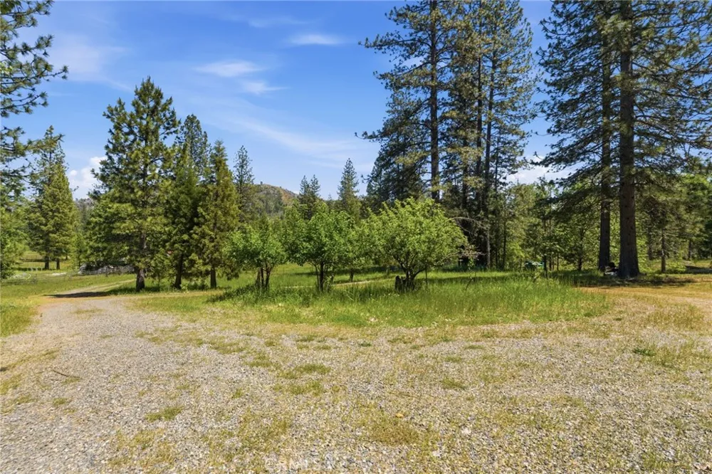 7019 Scott Mariposa, CA 95338