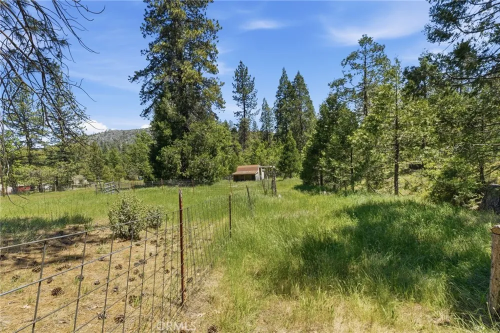 7019 Scott Mariposa, CA 95338