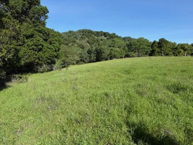 Cinnabar Hills Road San Jose, CA 95120