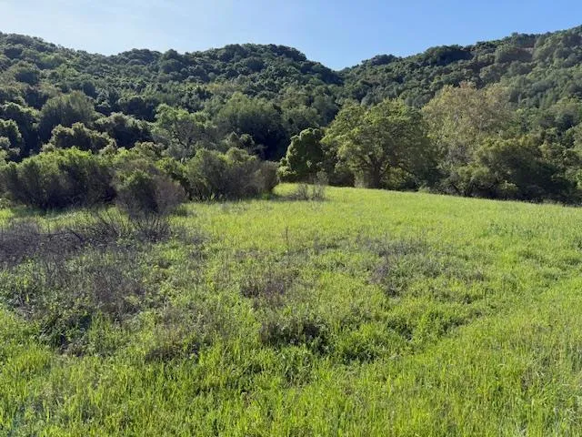 Cinnabar Hills Road San Jose, CA 95120