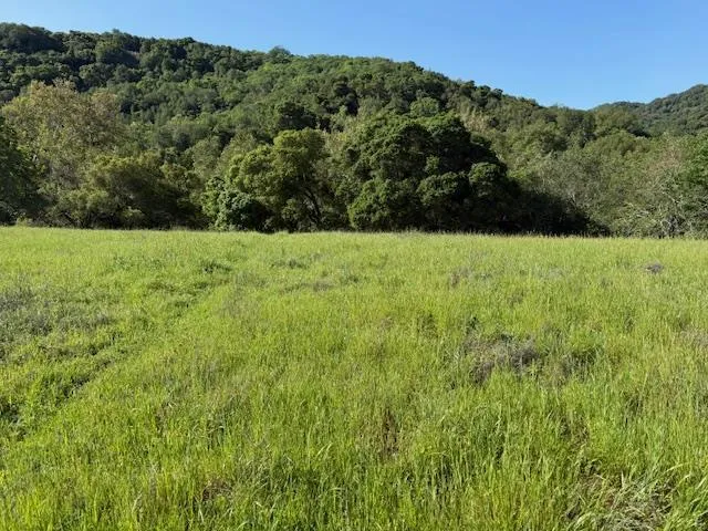 Cinnabar Hills Road San Jose, CA 95120