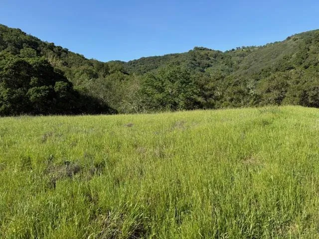 Cinnabar Hills Road San Jose, CA 95120