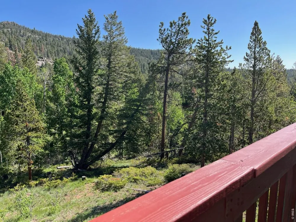 20 Inca Court Red Feather Lakes, CO 80545