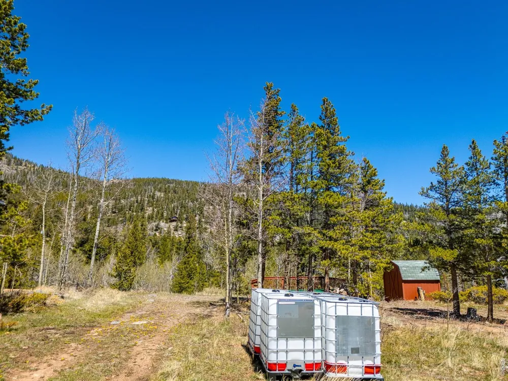 20 Inca Court Red Feather Lakes, CO 80545