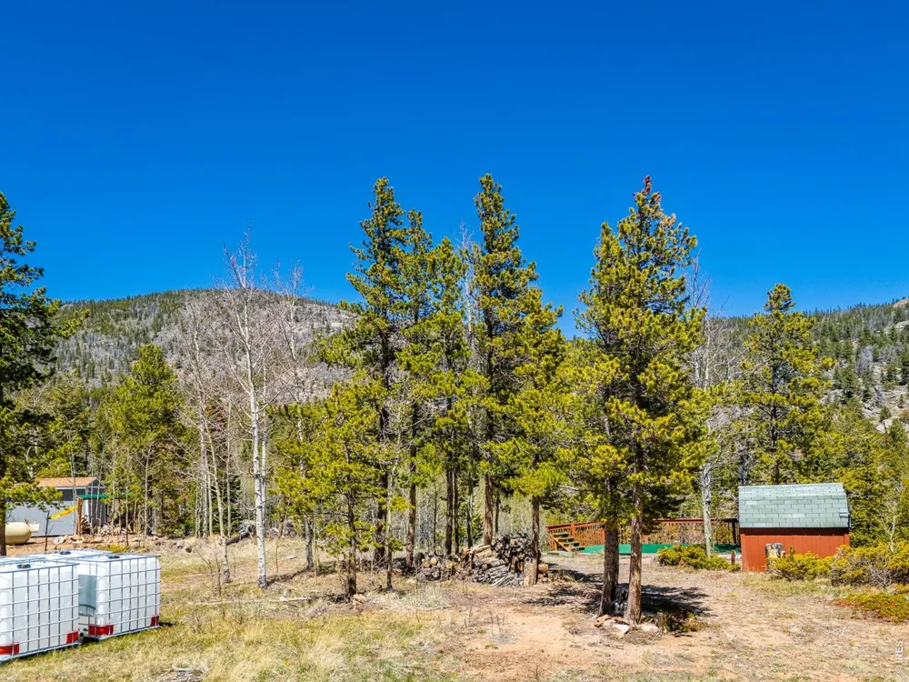 20 Inca Court Red Feather Lakes, CO 80545