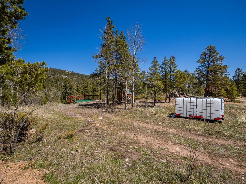 20 Inca Court Red Feather Lakes, CO 80545