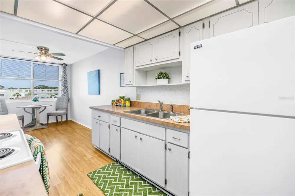 4720 LOCUST STREET NE #318 St Petersburg, FL 33703