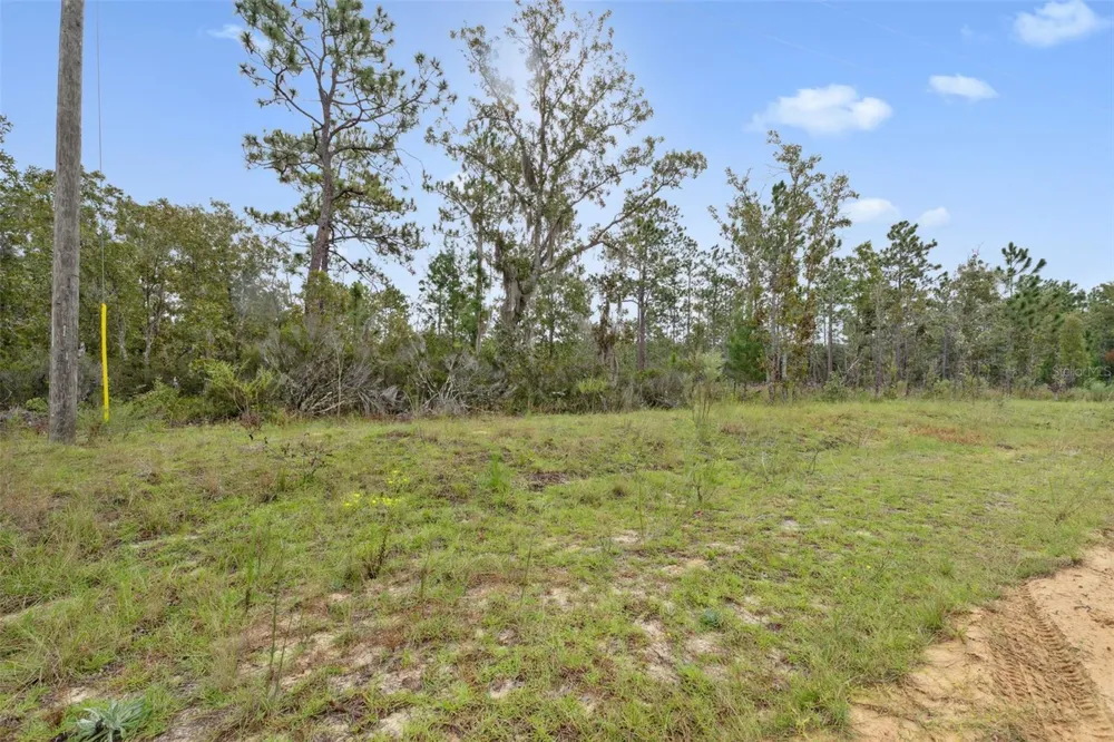 240 CESSNA WAY Hawthorne, FL 32640