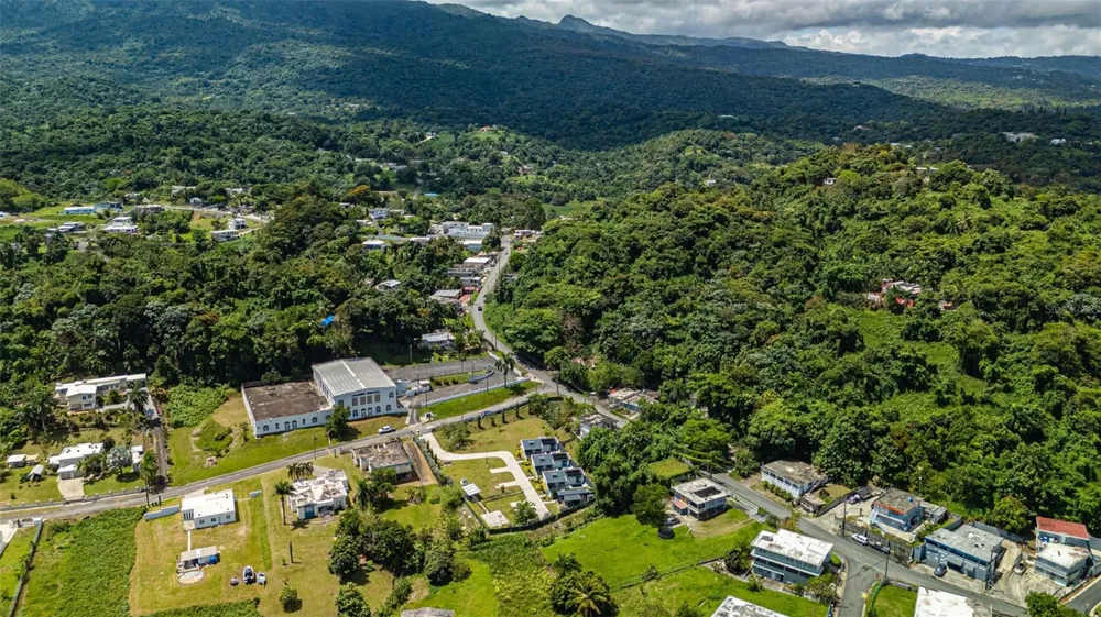 PR-967 BO JIMENEZ KM. 1.5 Rio Grande, PR 00745