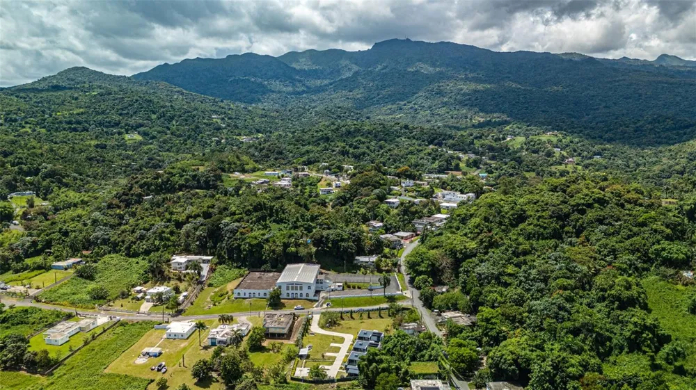 PR-967 BO JIMENEZ KM. 1.5 Rio Grande, PR 00745