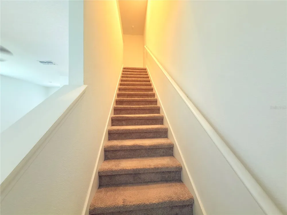 253 TULIP BANDED WAY Ruskin, FL 33570