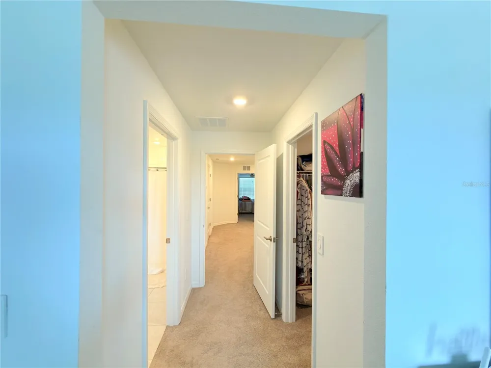 253 TULIP BANDED WAY Ruskin, FL 33570