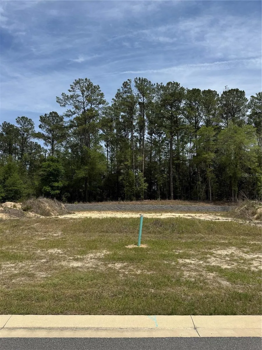 1047 SW 147TH TERRACE Newberry, FL 32669
