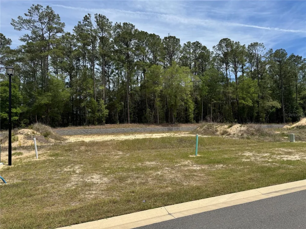 1047 SW 147TH TERRACE Newberry, FL 32669