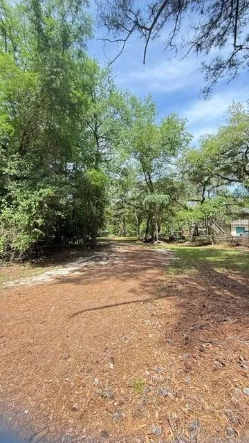 2905 CREEK STREET Middleburg, FL 32068