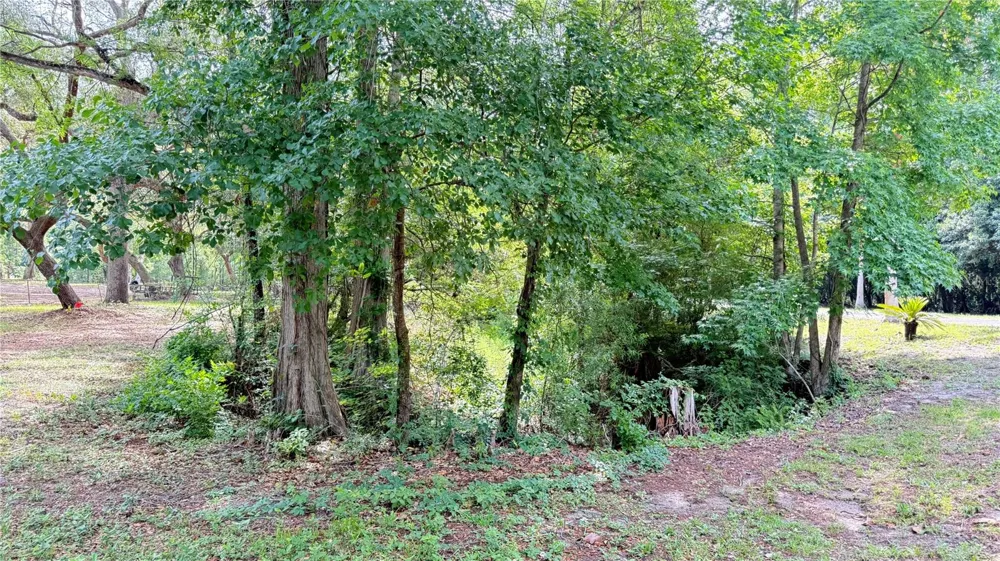 2905 CREEK STREET Middleburg, FL 32068