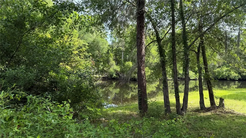 2905 CREEK STREET Middleburg, FL 32068