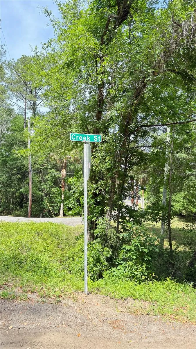 2905 CREEK STREET Middleburg, FL 32068
