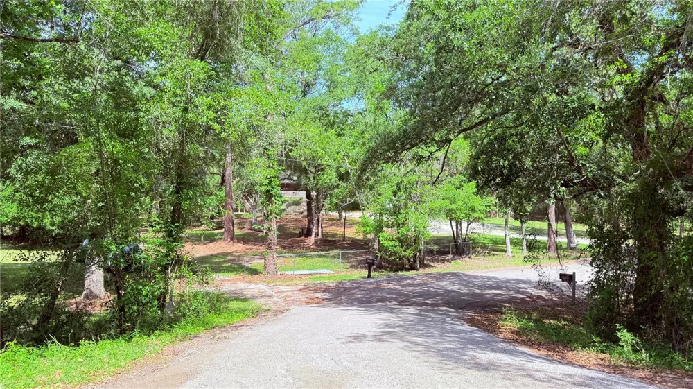 2905 CREEK STREET Middleburg, FL 32068