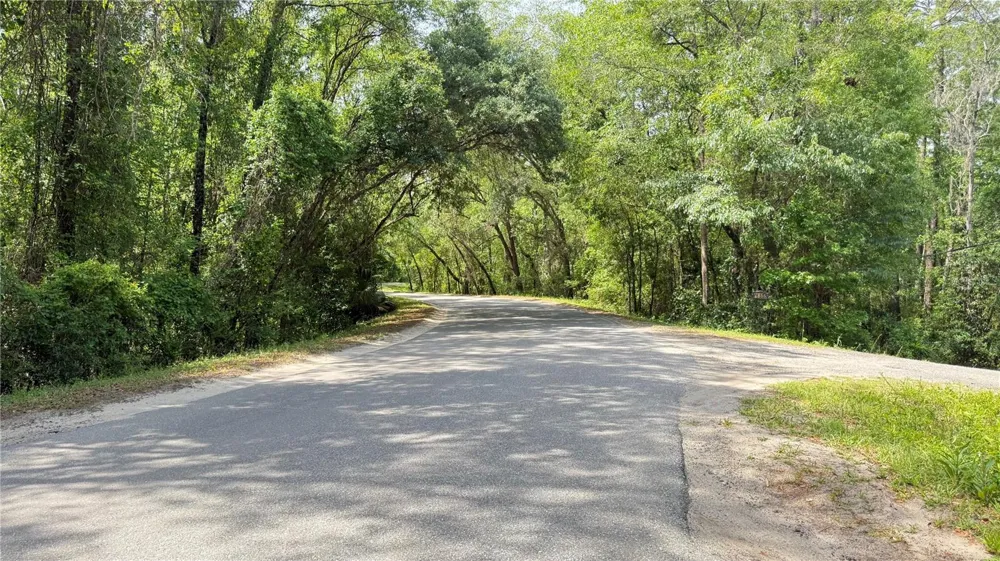 2905 CREEK STREET Middleburg, FL 32068