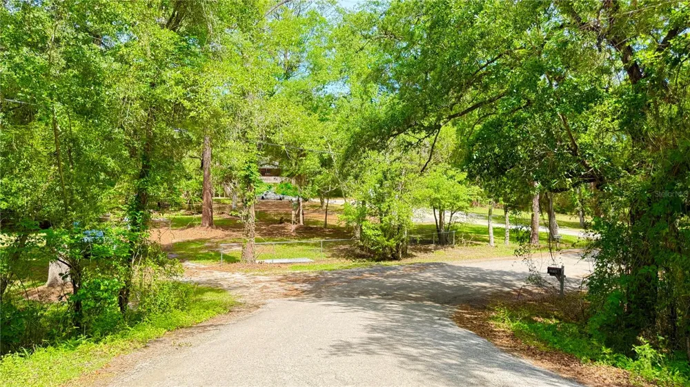2905 CREEK STREET Middleburg, FL 32068
