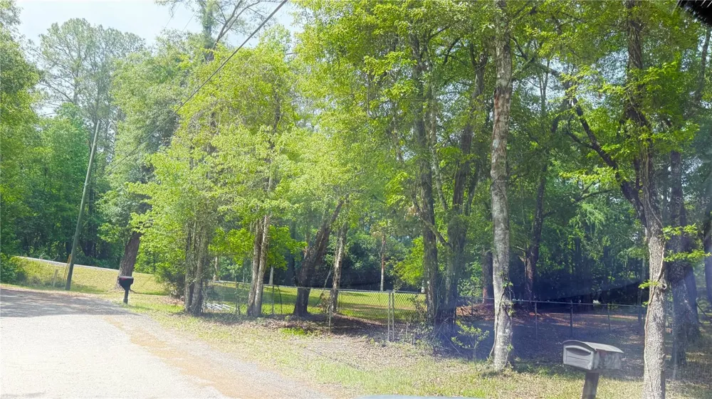 2905 CREEK STREET Middleburg, FL 32068