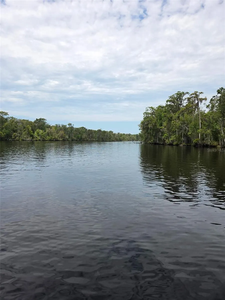 2905 CREEK STREET Middleburg, FL 32068