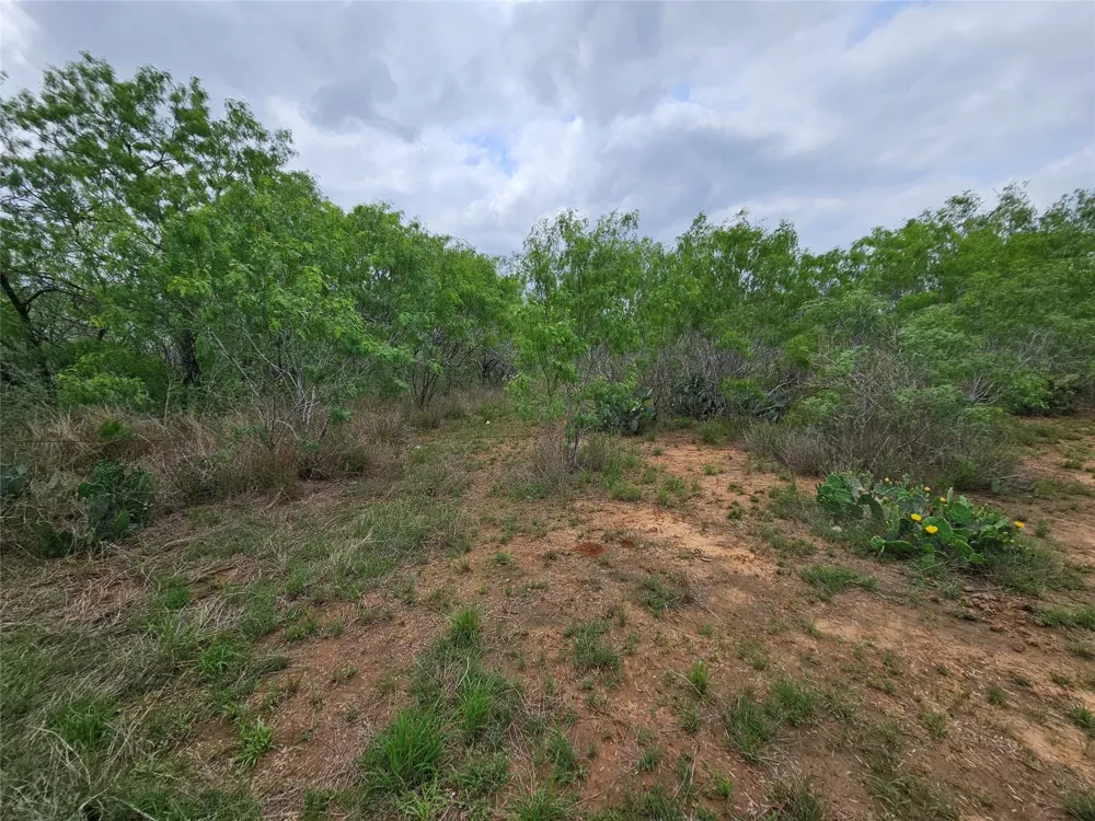 608 Country Breeze Floresville, TX 78114