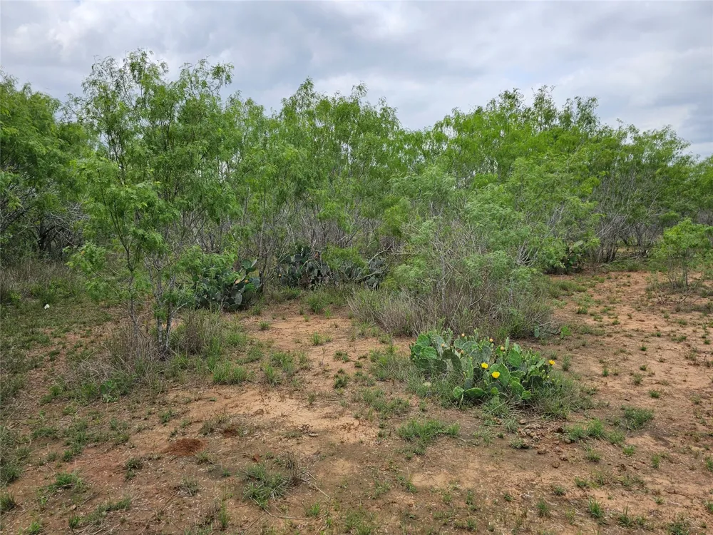 608 Country Breeze Floresville, TX 78114