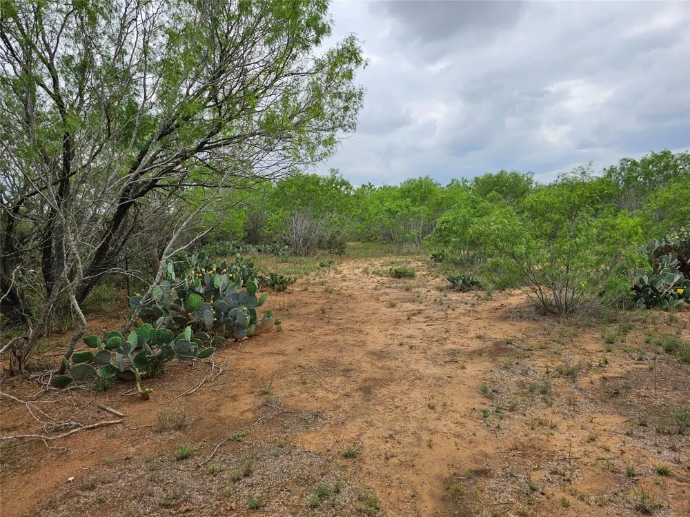 608 Country Breeze Floresville, TX 78114