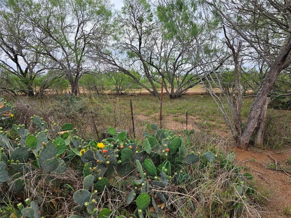 608 Country Breeze Floresville, TX 78114