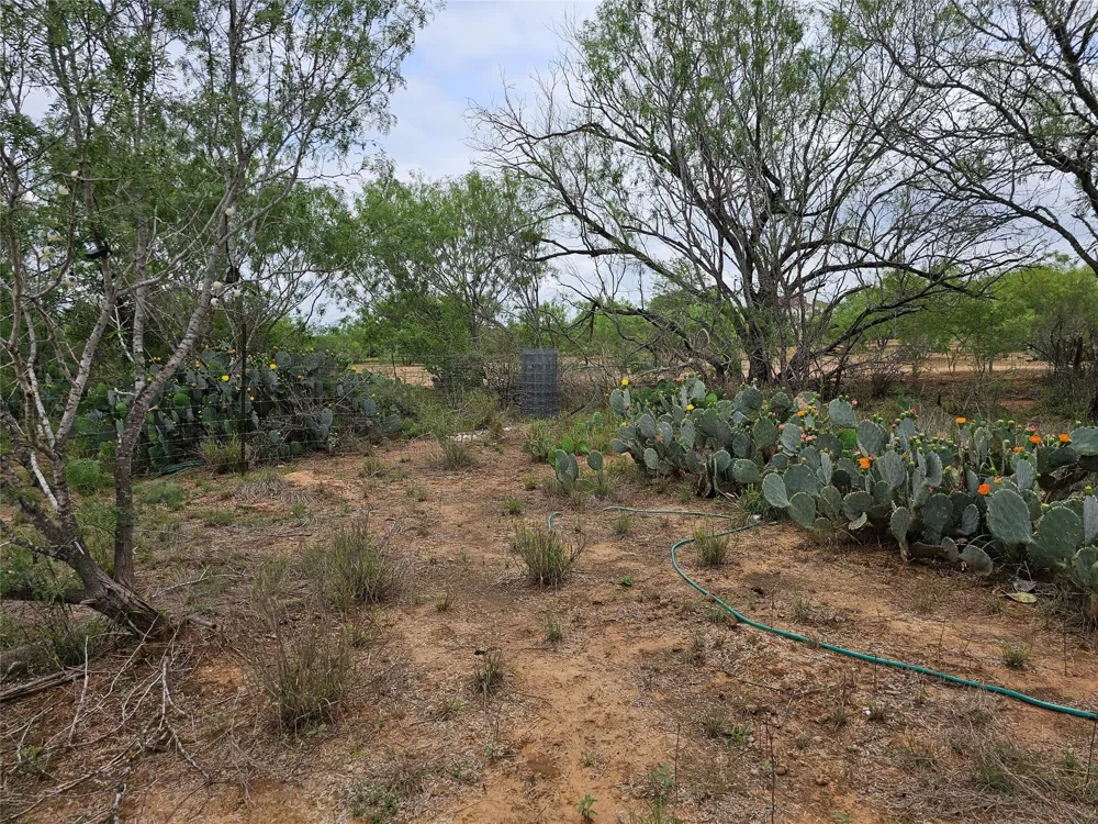 608 Country Breeze Floresville, TX 78114