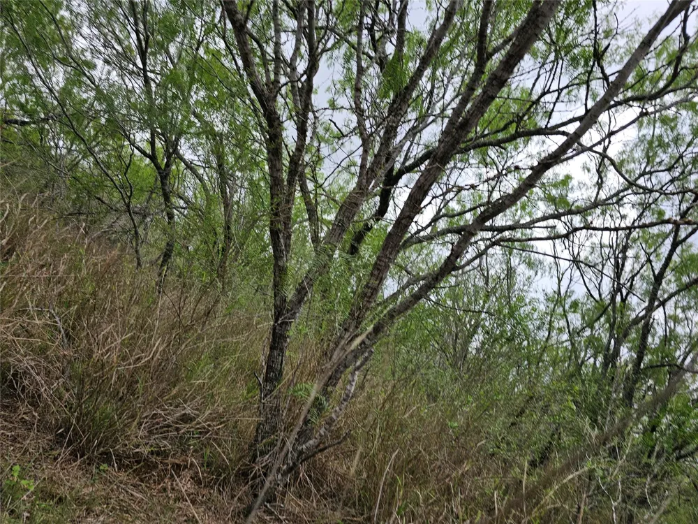 608 Country Breeze Floresville, TX 78114