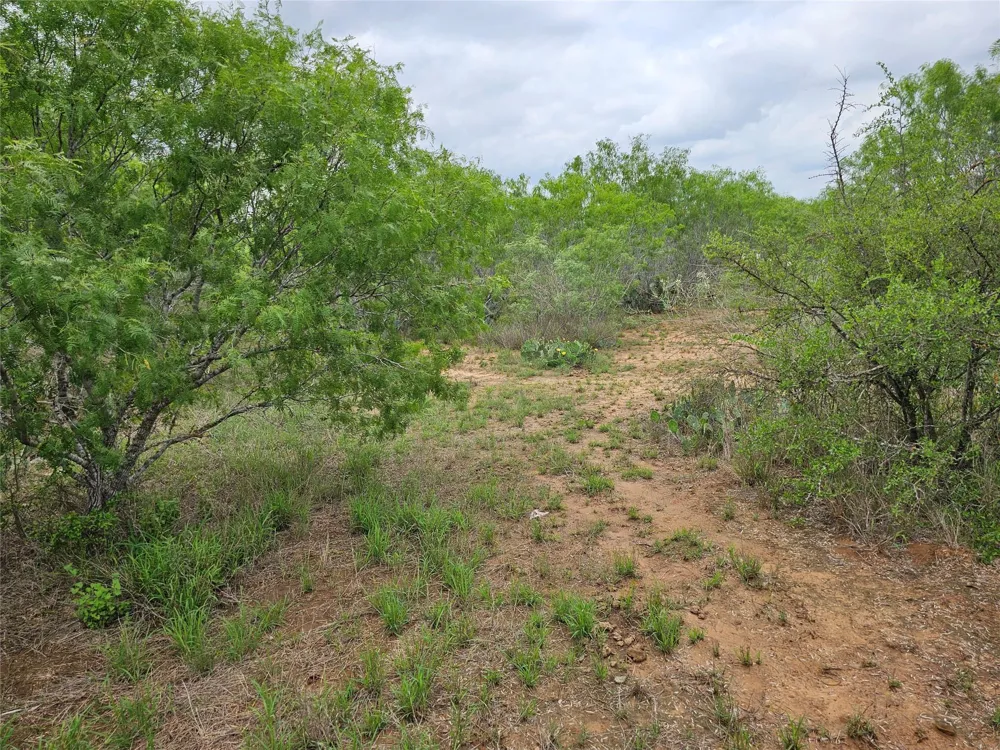 608 Country Breeze Floresville, TX 78114