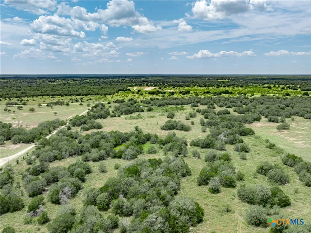 Davis Road Flatonia, TX 78941