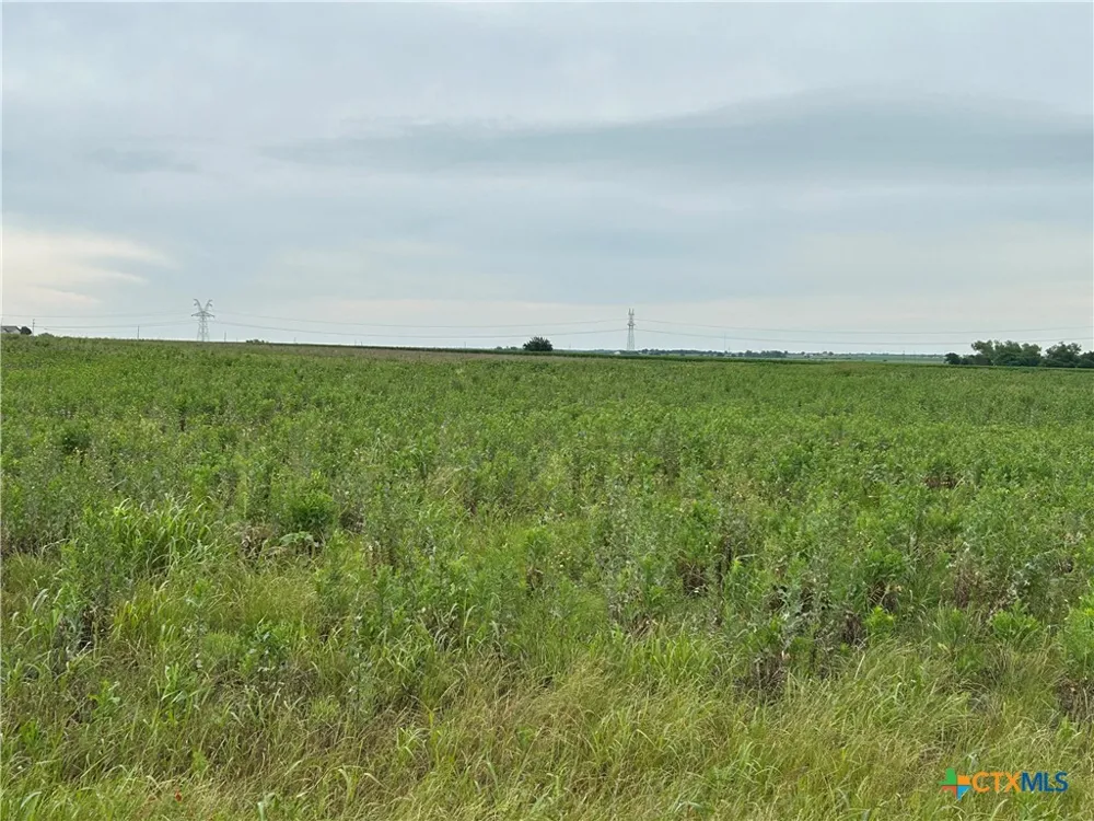 Gooseneck Road Bartlett, TX 76511