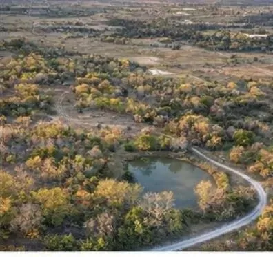 Cr 4210 Kerens, TX 75144