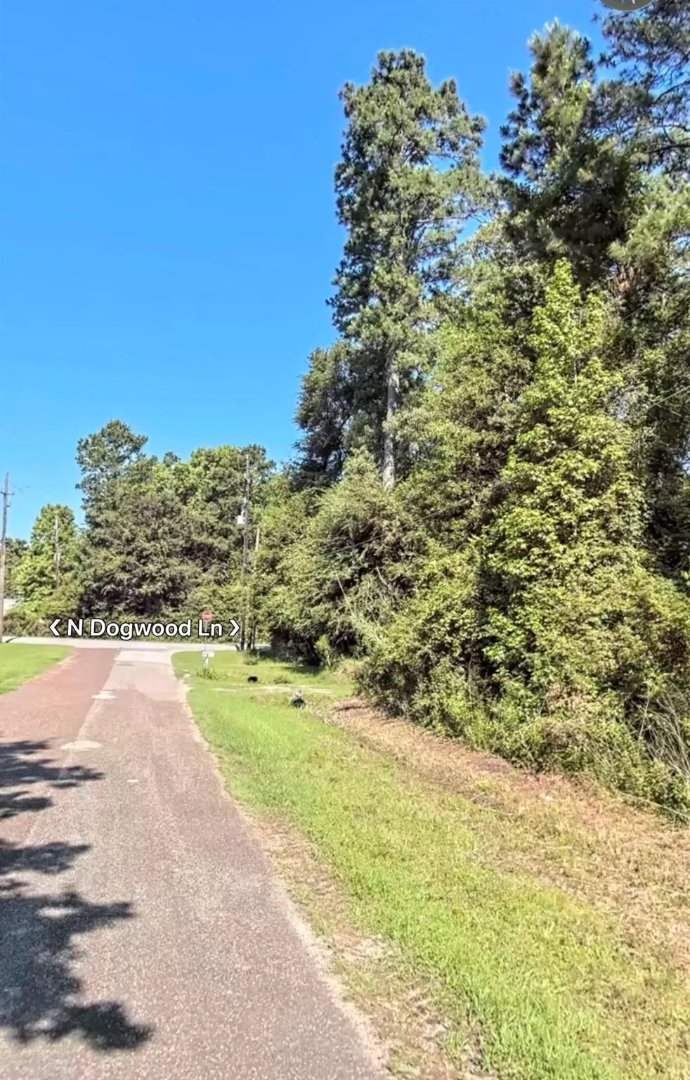 26603 Weir Way Magnolia, TX 77355