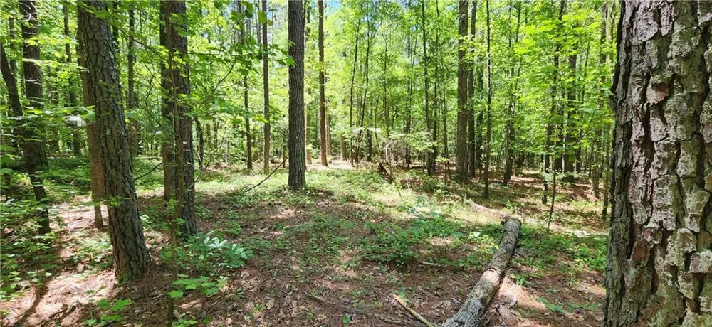 4980 Wynship Lane Snellville, GA 30039