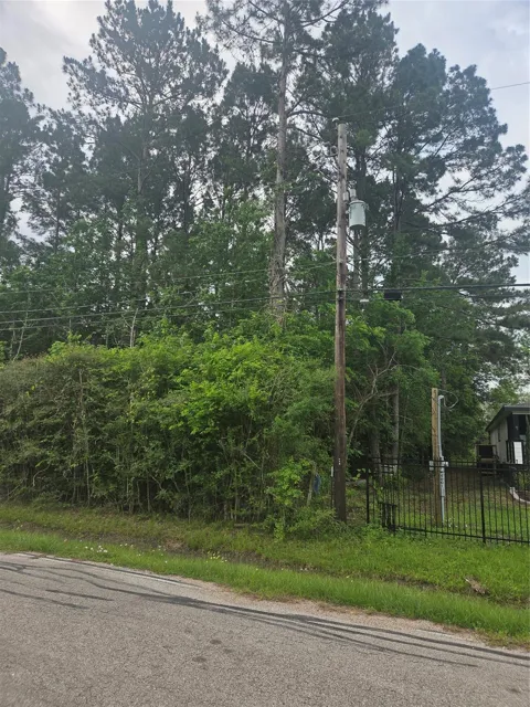 Felscher  Lane Lane