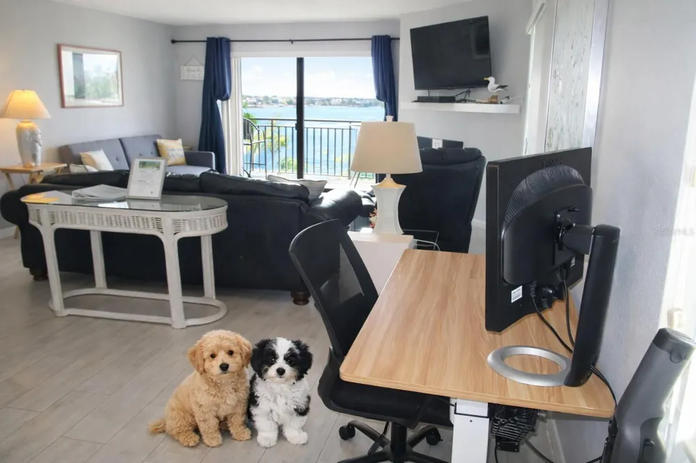 9825 HARRELL AVENUE #404 Treasure Island, FL 33706