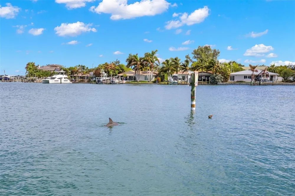 9825 HARRELL AVENUE #404 Treasure Island, FL 33706