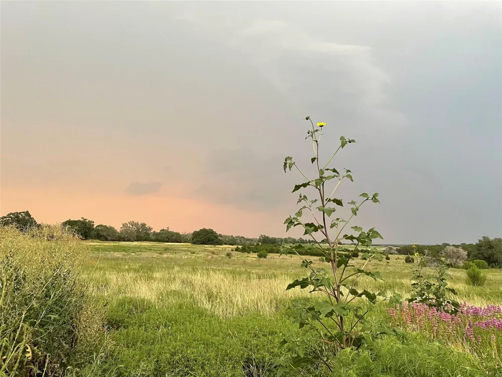 428 County Road 326a Bertram, TX 78605