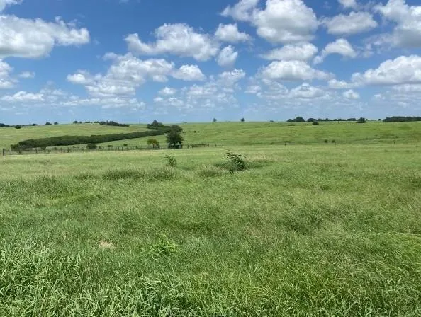 2110 Immenhauser Road Yoakum, TX 77995