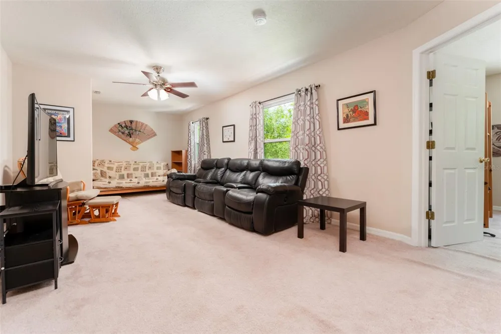 6302 BRIDGEVISTA DRIVE Lithia, FL 33547