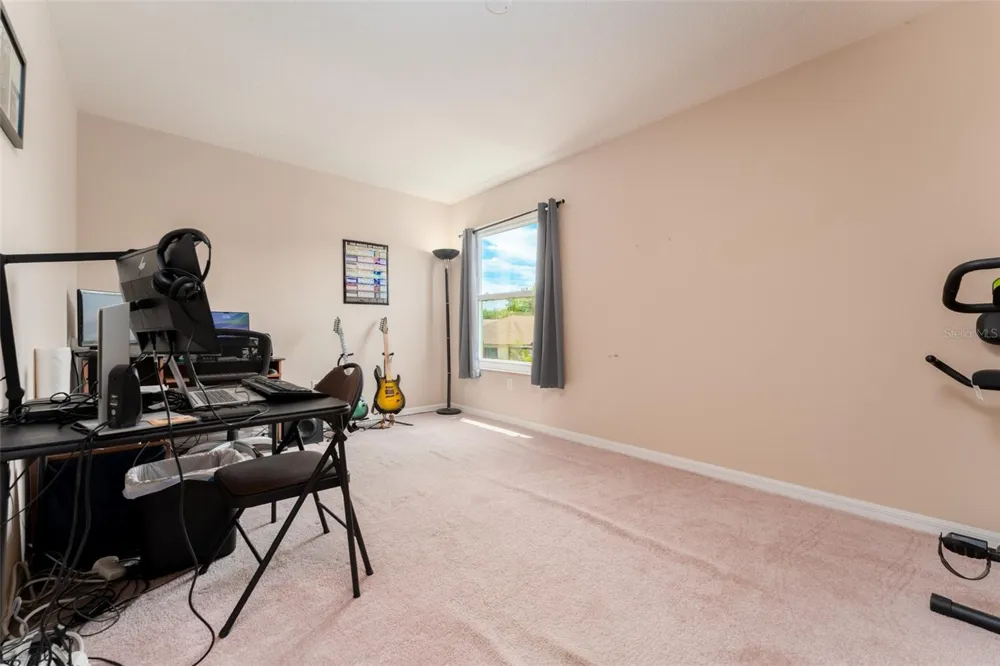 6302 BRIDGEVISTA DRIVE Lithia, FL 33547