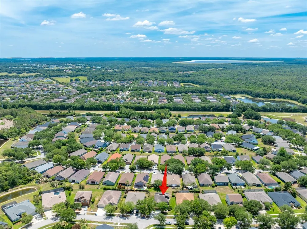 6302 BRIDGEVISTA DRIVE Lithia, FL 33547