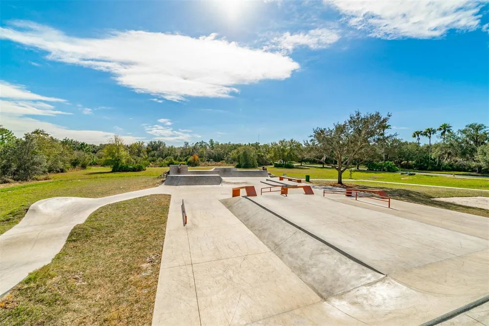6302 BRIDGEVISTA DRIVE Lithia, FL 33547