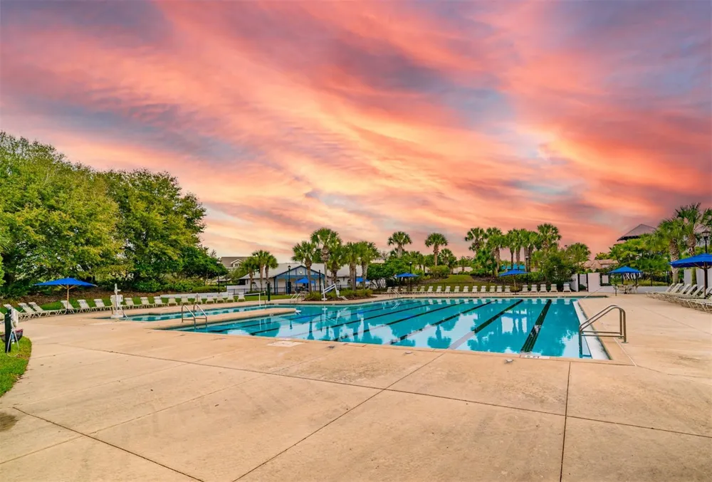 6302 BRIDGEVISTA DRIVE Lithia, FL 33547